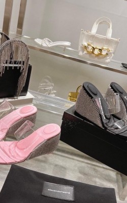 סנדלי וואנג