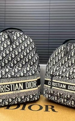 תיק דיור גב 38/28 24/33 ס"מ