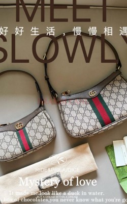 תיק גוצי 24/14 20/11 ס"מ