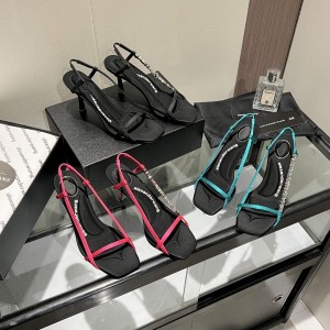 סנדלי אלכסנדר וונג 