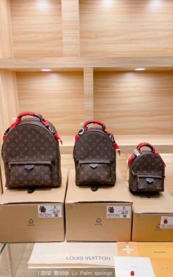 תיק לואי