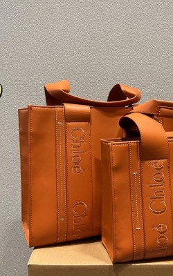 תיק קלואה שני צבעים