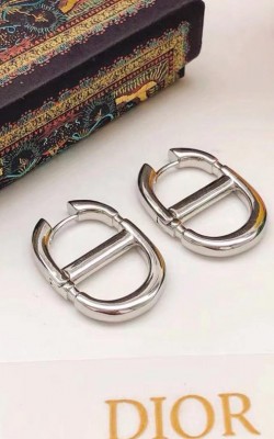 עגילי דיור 