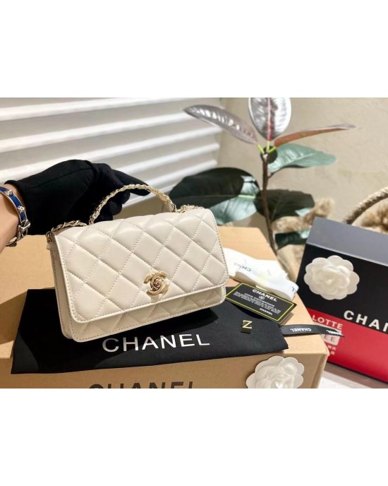 תיק שאנל 21/12 ס