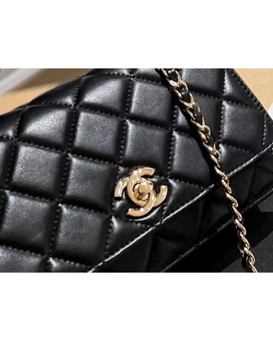 תיק שאנל 21/12 ס