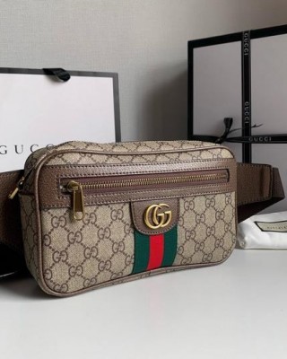 פאוץ גוצי 24/11/5.5 ס"מ