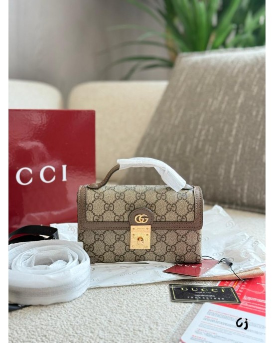 תיק גוצי 19/4/11 ס